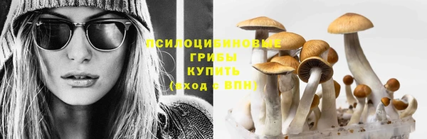 молекула духа Волосово