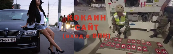 дживик Вязьма