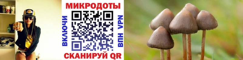закладки  Рязань  ОМГ ОМГ рабочий сайт  Псилоцибиновые грибы Psilocybine cubensis 
